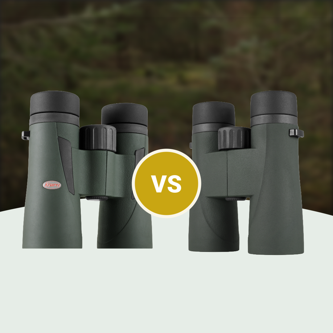 Kowa BDIII vs Kowa SVIII