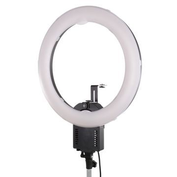 Falcon Eyes Lampe Circulaire FLC-65 65W + TMB-20Z