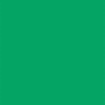 Falcon Eyes Papier de fond 46 Chroma Green 2,18 x 11 m