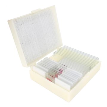 Konus Ensemble de Préparations Tissu Humain Pathologique 2 (10 Pièces)