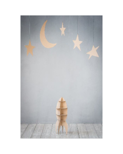 StudioKing Toile de fond RSG1 2x3m avec impression