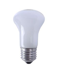 Falcon Eyes Lampe de réglage halogène ML-60 60W culot E27